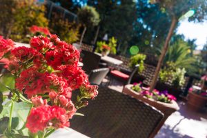 day-in-the-life-sicily-academy-terrace