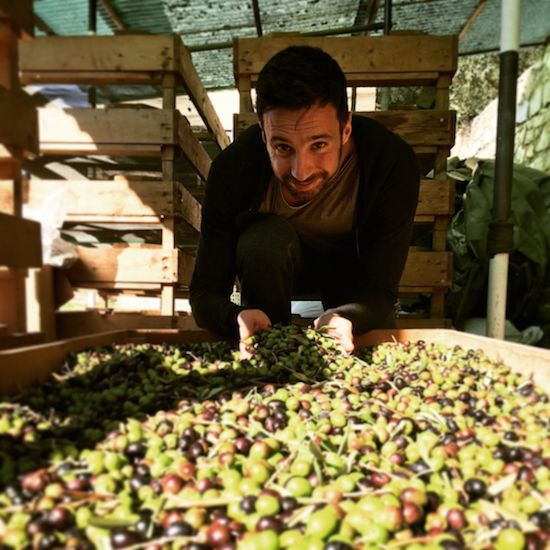 Olive Rousseau Raggio Tuscany's Green Gold: l'Olio d’Oliva
