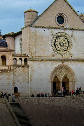florence SAI Programs