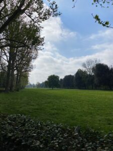 cascine park in florence, italy