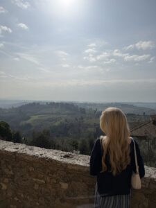 A Hillside View from San Gimignano