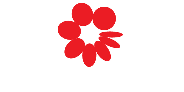 SAI Programs - Logo